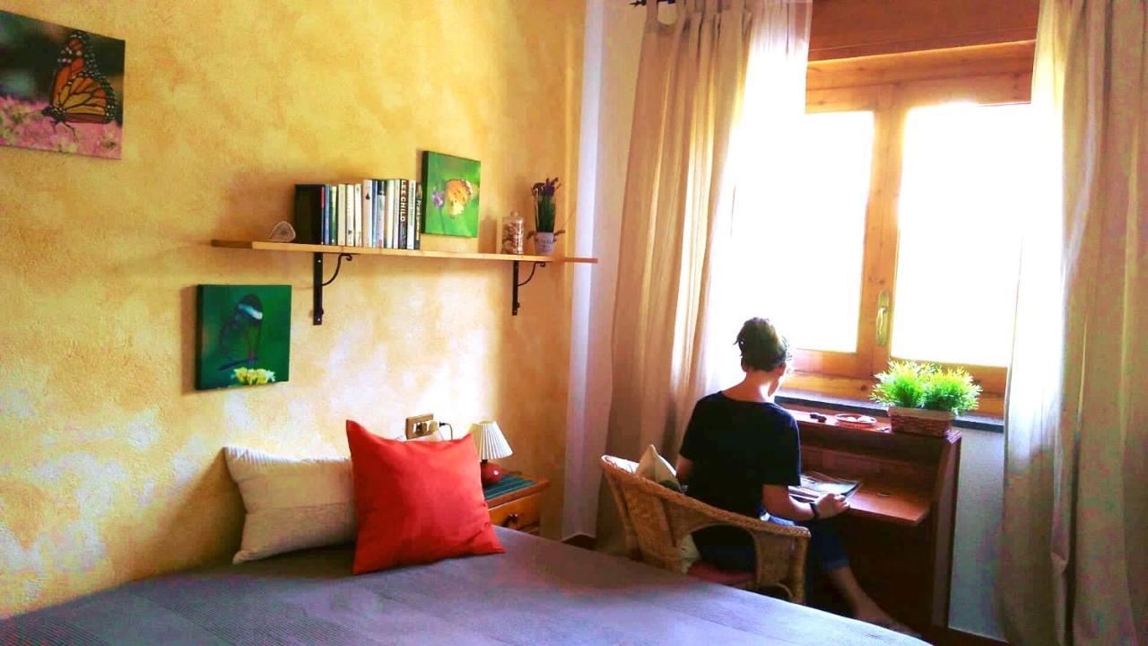 Rec Dels Noguers Couette-café